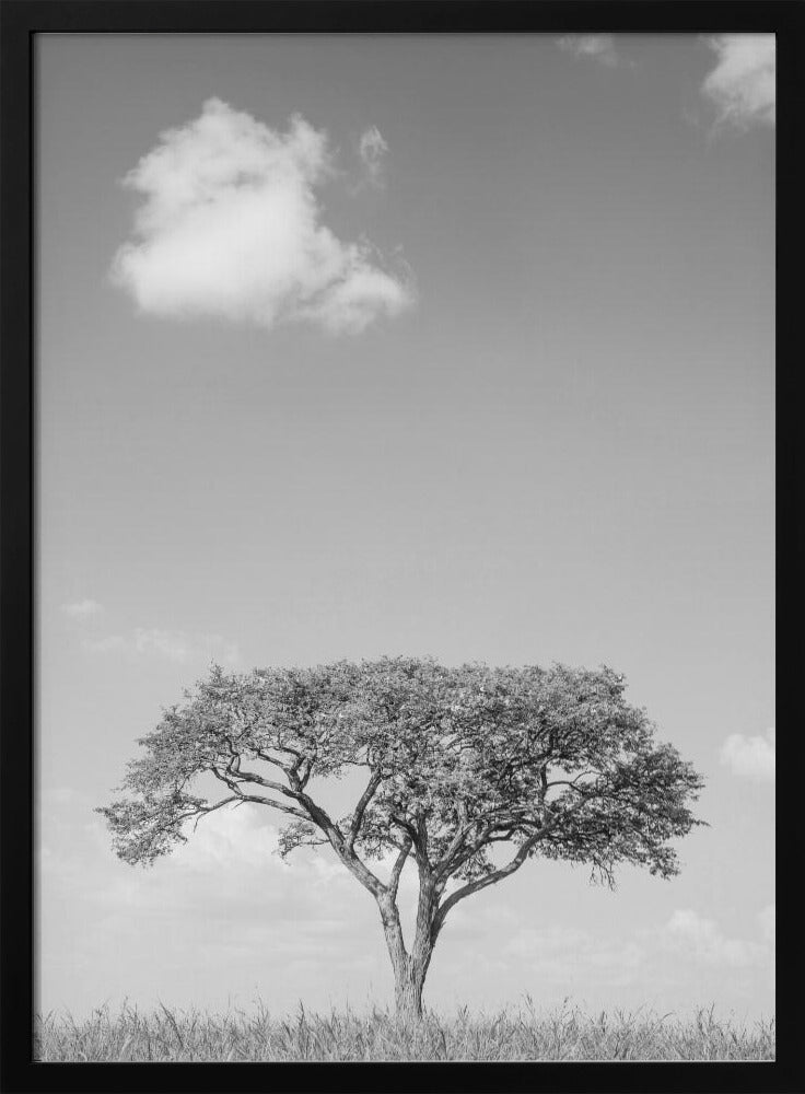 Camel Thorn Poster